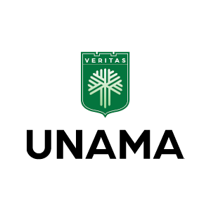 Estudante da UNAMA desenvolve jogo com 100 fases